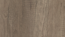 H3332 ST10 Grey Nebraska Oak