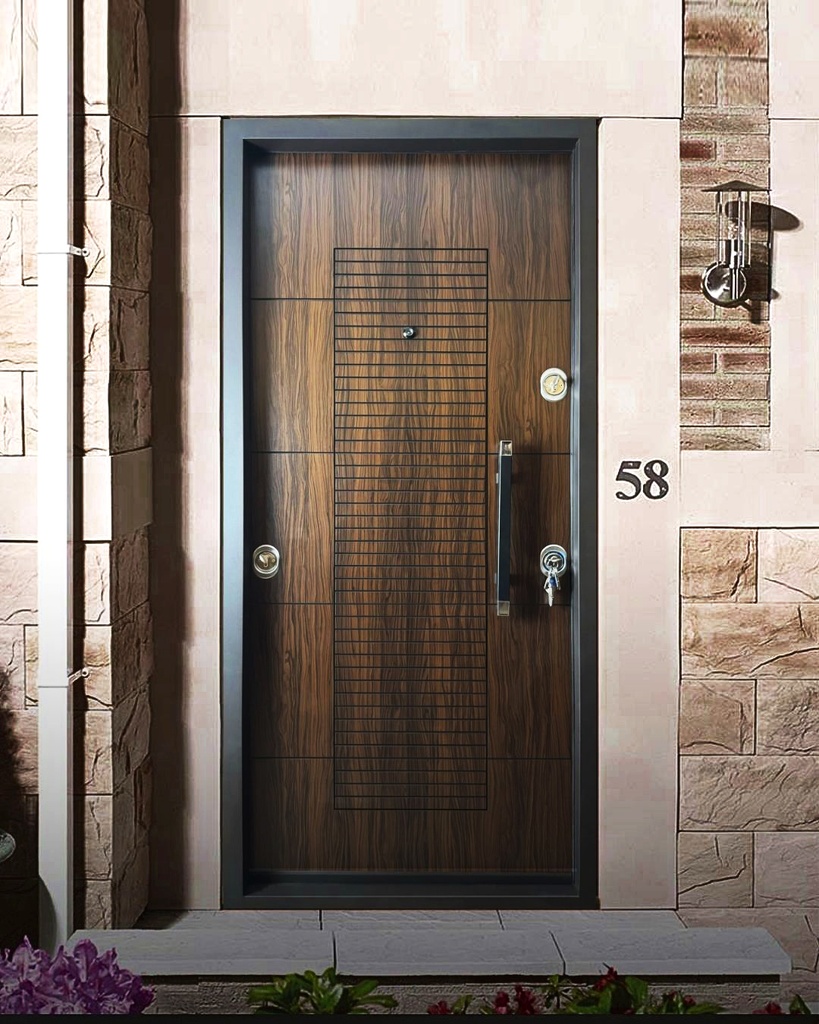 STAR STEEL DOOR S12