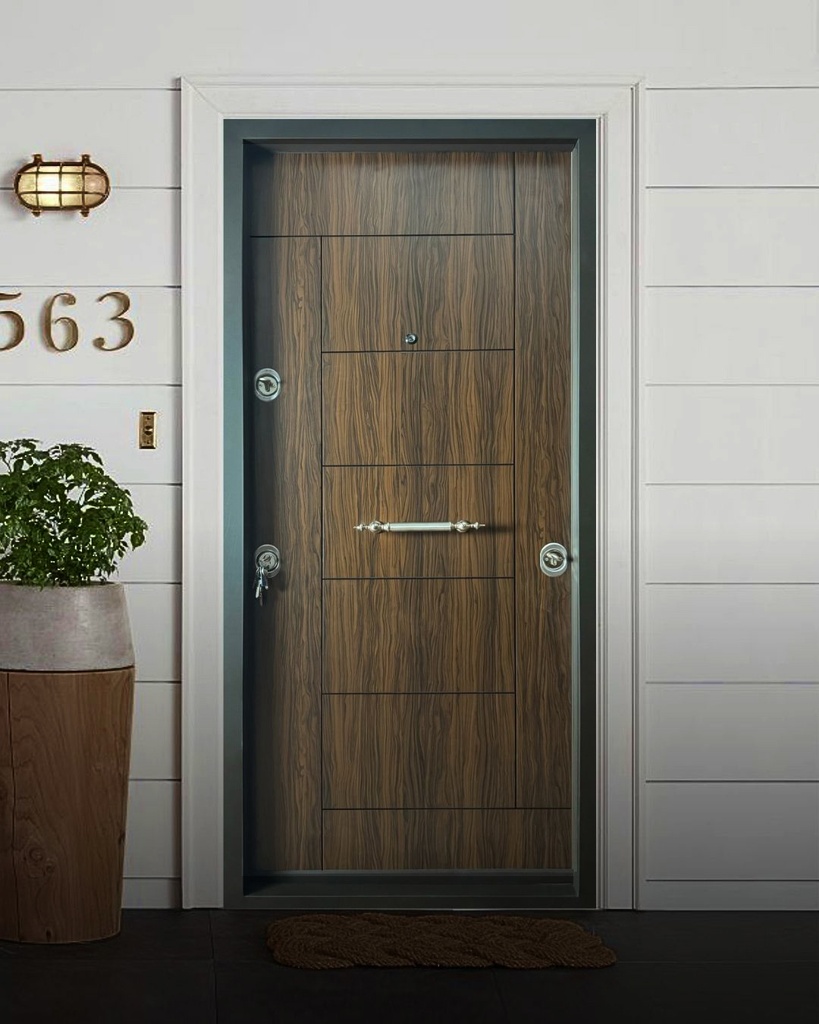 STAR STEEL DOOR S010