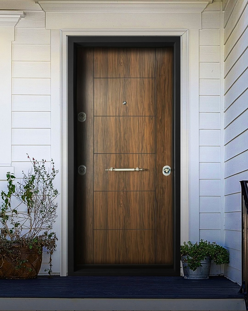 STAR STEEL DOOR S012