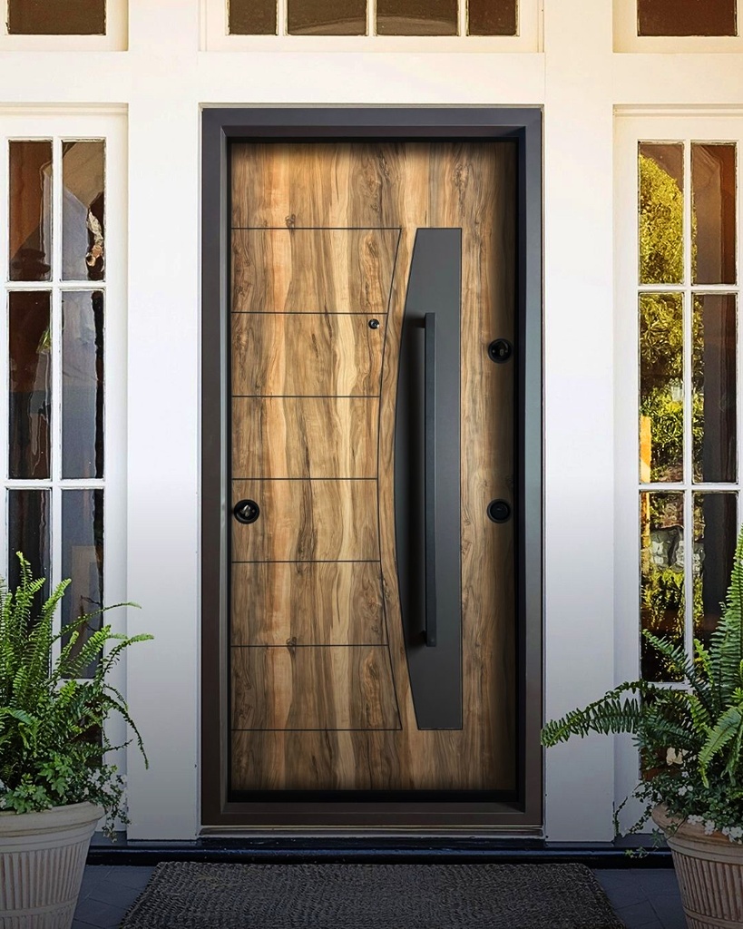 STAR STEEL DOOR S28