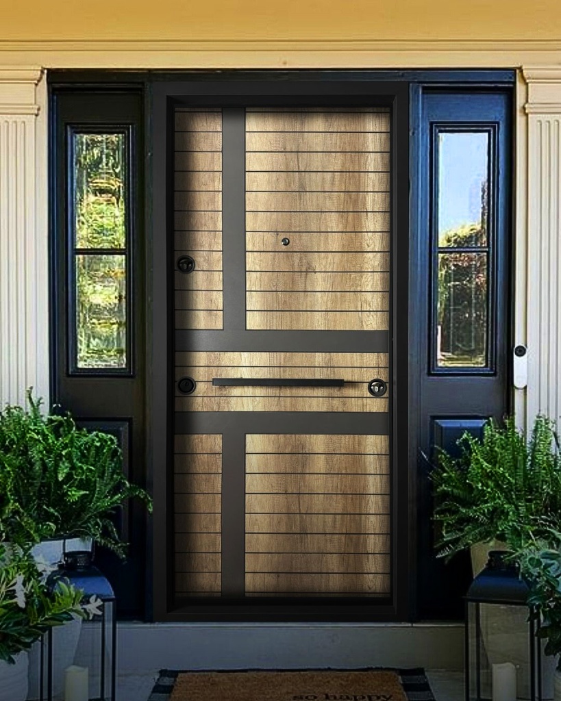 STAR STEEL DOOR S36C