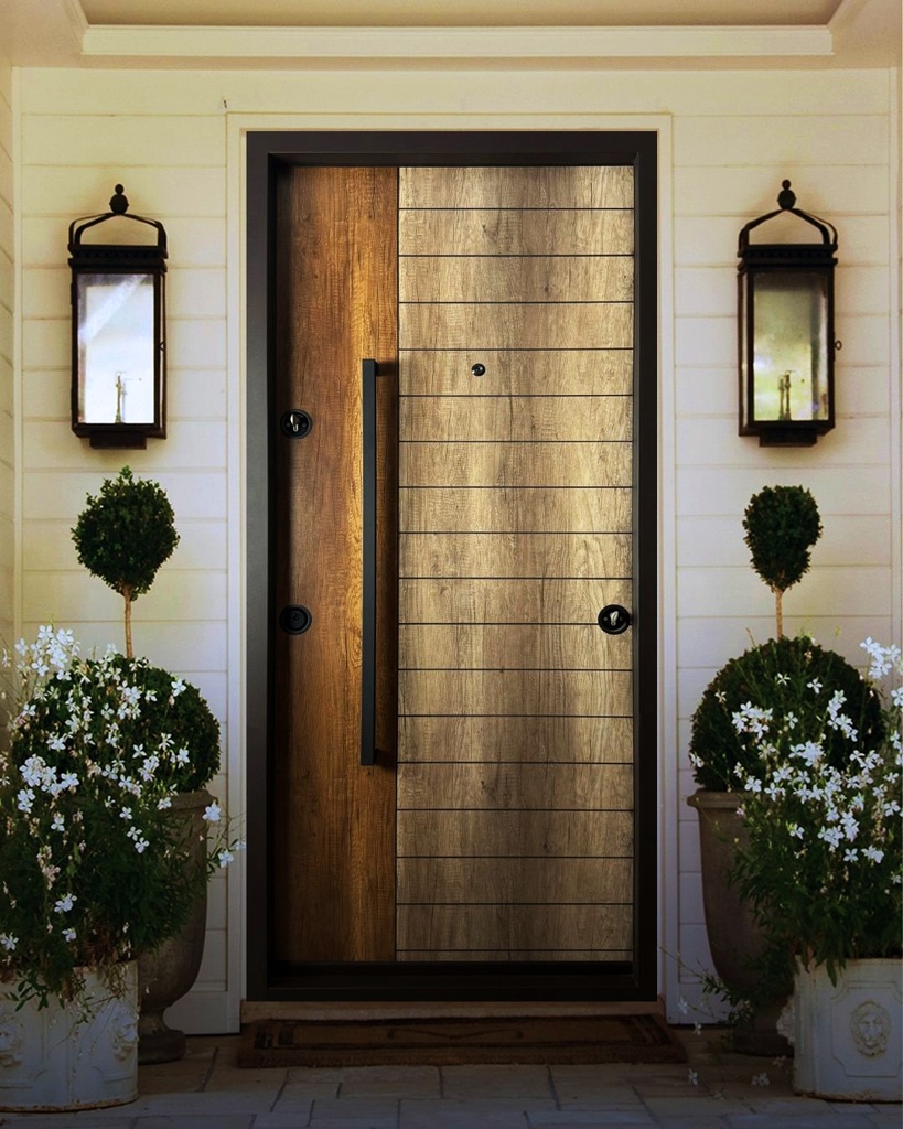 STAR STEEL DOOR S55