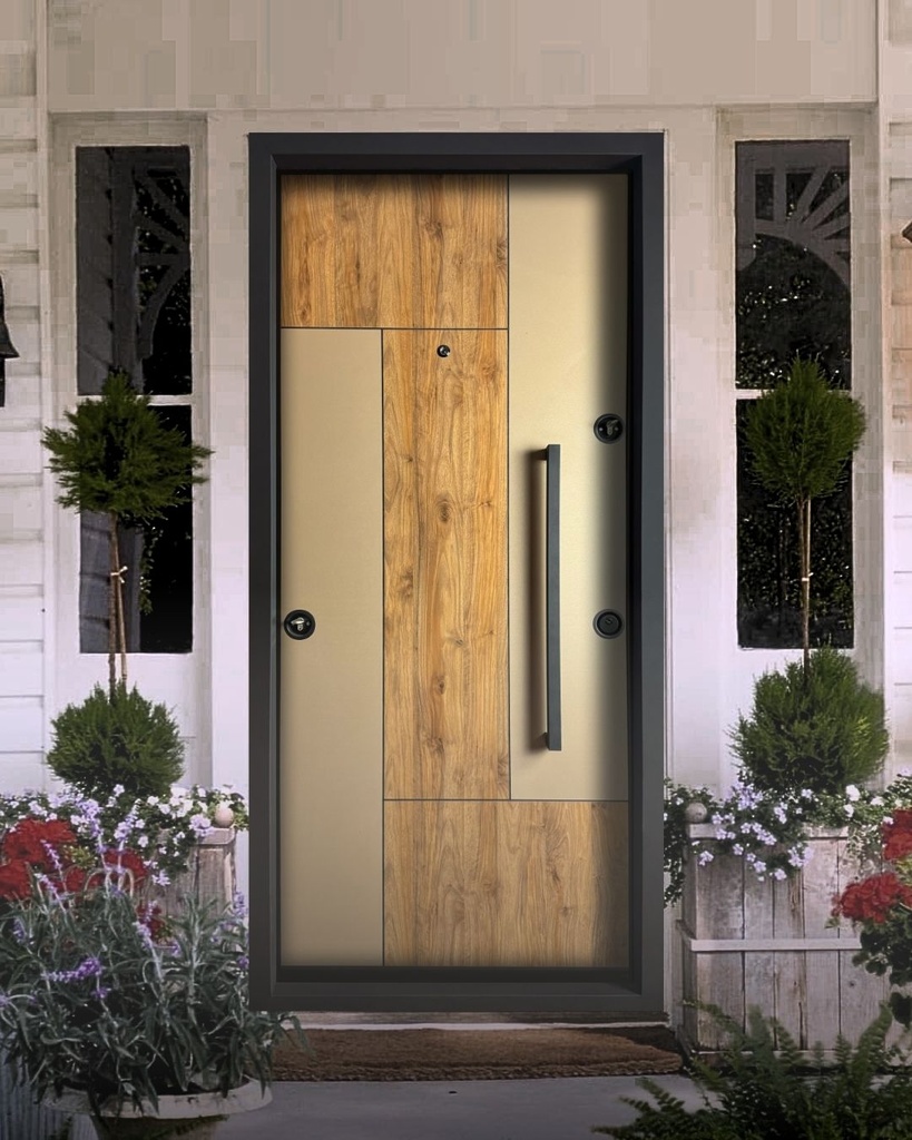 STAR STEEL DOOR S45