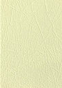 21187-CLR Champagne