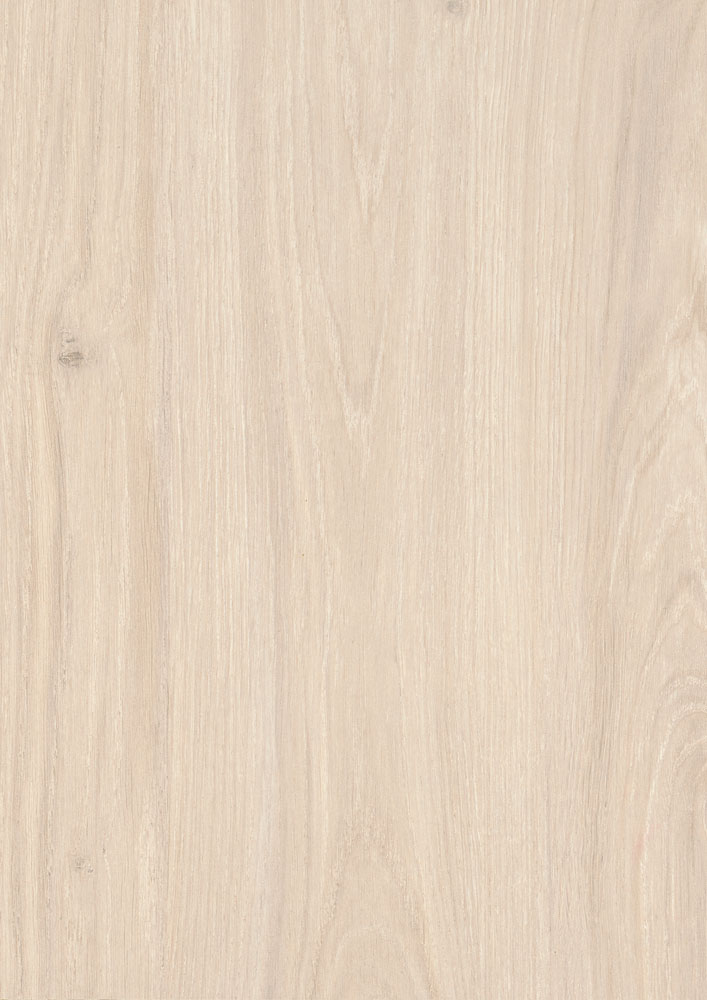 H1384 ST40 White Casella Oak | Elkhalil Wood
