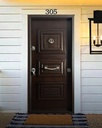 STAR STEEL DOOR S003