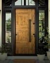 STAR STEEL DOOR S04B