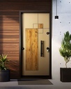 STAR STEEL DOOR S26