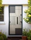 STAR STEEL DOOR S47