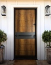 STAR STEEL DOOR S56B