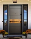 STAR STEEL DOOR S56G